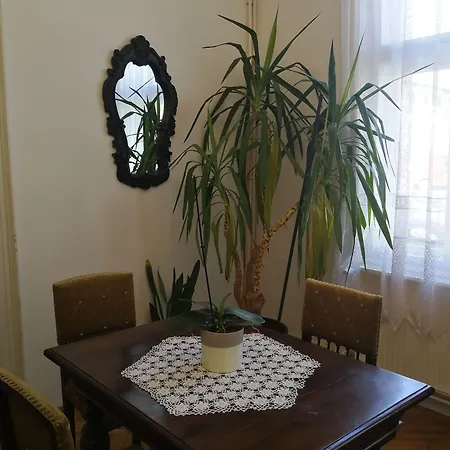 Tulipanvendeghaz 招待所