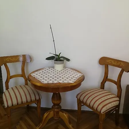 Tulipanvendeghaz
