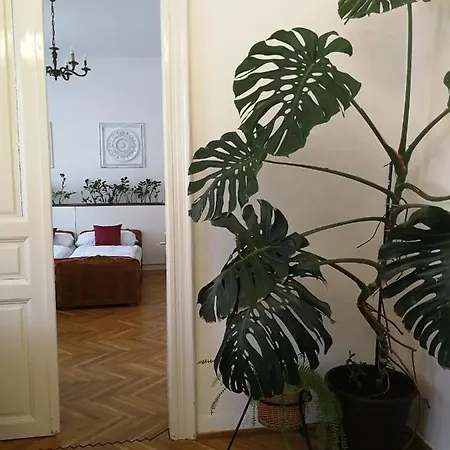 Tulipanvendeghaz 3*