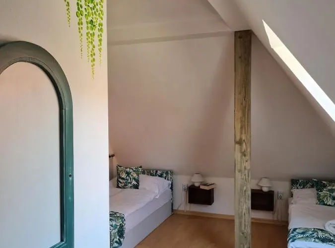 Tulipanvendeghaz 케츨리