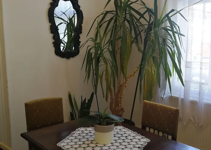 Tulipanvendeghaz 게스트하우스