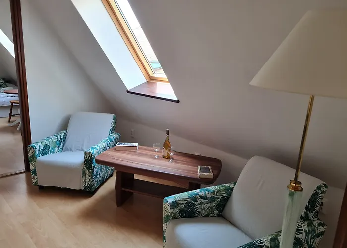 Tulipanvendeghaz 게스트하우스