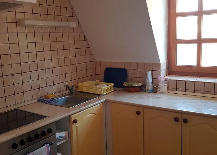 Tulipanvendeghaz 게스트하우스