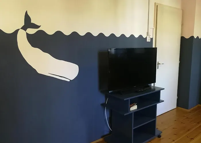 Tulipanvendeghaz 게스트하우스